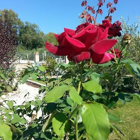 L'antico Casale Κατάλυμα σε φάρμα *